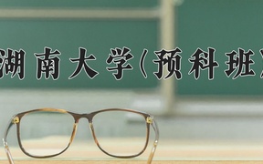 2024湖南大学(预科班)录取分数线，重庆录取最低分590