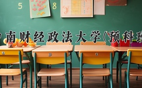 2024中南财经政法大学(预科班)录取分数线，重庆录取最低分581