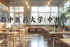 2024成都中医药大学(中外合作)录取分数线，重庆录取最低分516