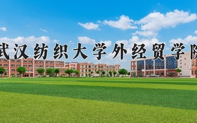 2024武汉纺织大学外经贸学院录取分数线，云南最低424分