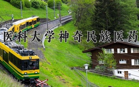 2024贵州医科大学神奇民族医药学院录取分数线，重庆录取最低分539
