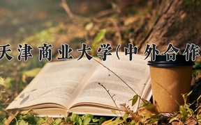 2024天津商业大学(中外合作)录取分数线，重庆录取最低分511