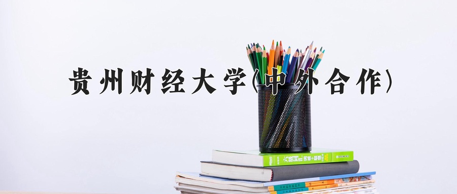 贵州财经大学(中外合作)