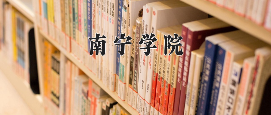 南宁学院