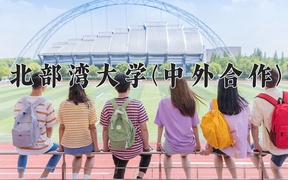 2024北部湾大学(中外合作)录取分数线，云南最低423分
