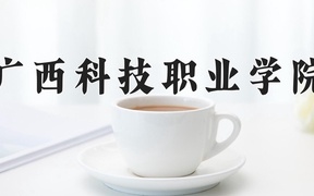 2024广西科技职业学院录取分数线，重庆录取最低分180