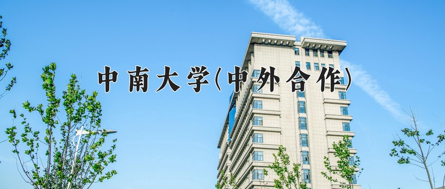 中南大学(中外合作)