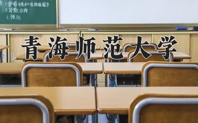 2024青海师范大学录取分数线，重庆录取最低分500