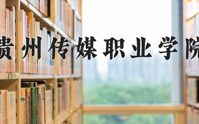 2024贵州传媒职业学院录取分数线，重庆录取最低分285
