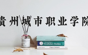 2024贵州城市职业学院录取分数线，重庆录取最低分180