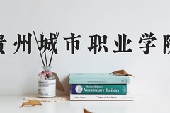 2024贵州城市职业学院录取分数线，重庆录取最低分180