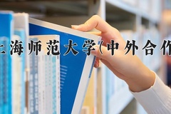 2024上海师范大学(中外合作)录取分数线，重庆录取最低分515