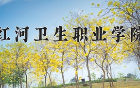 2024红河卫生职业学院录取分数线，云南最低379分