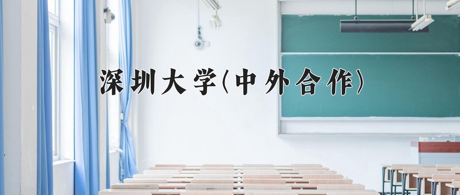 深圳大学(中外合作)