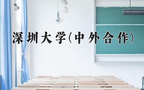 2024深圳大学(中外合作)录取分数线，重庆录取最低分581