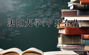 2024沈阳大学(中外合作)录取分数线，重庆录取最低分498