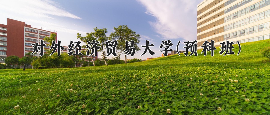 对外经济贸易大学(预科班)