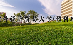 2024对外经济贸易大学(预科班)录取分数线，重庆录取最低分580