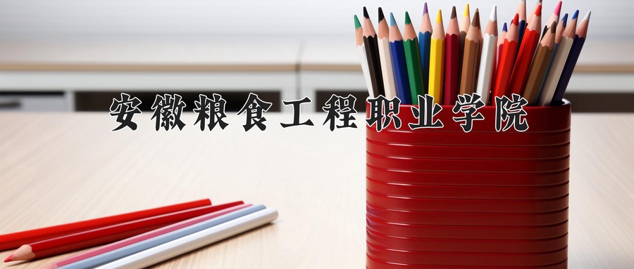 安徽粮食工程职业学院