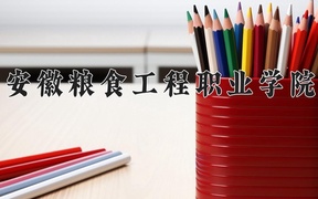 2024安徽粮食工程职业学院录取分数线，云南最低330分