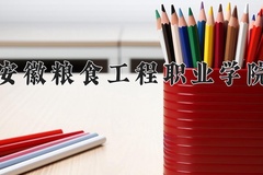 2024安徽粮食工程职业学院录取分数线，云南最低330分