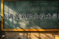 2024黔东南民族职业技术学院录取分数线，重庆录取最低分324