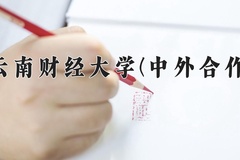 2024云南财经大学(中外合作)录取分数线，云南最低505分