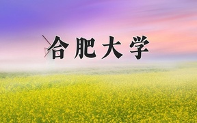 2024合肥大学录取分数线，云南最低494分