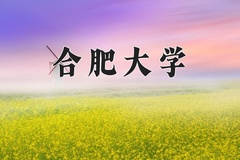 2024合肥大学录取分数线，云南最低494分