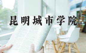 2024昆明城市学院录取分数线，重庆录取最低分480