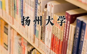 2024扬州大学录取分数线，重庆录取最低分551