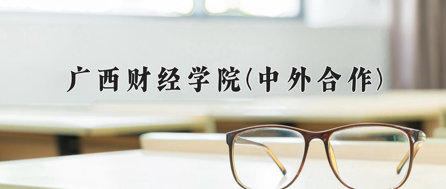 广西财经学院(中外合作)