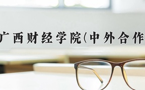 2024广西财经学院(中外合作)录取分数线，重庆录取最低分486