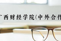 2024广西财经学院(中外合作)录取分数线，重庆录取最低分486