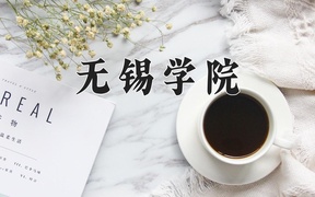 2024无锡学院录取分数线，重庆录取最低分513