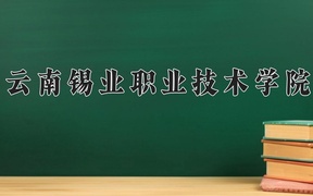2024云南锡业职业技术学院录取分数线，云南最低313分