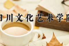 2024四川文化艺术学院录取分数线，重庆录取最低分180