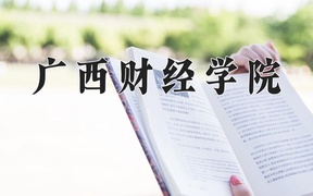 2024广西财经学院录取分数线，重庆录取最低分486