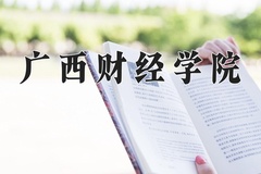 2024广西财经学院录取分数线，重庆录取最低分486