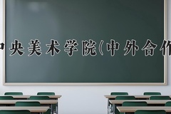 2024中央美术学院(中外合作)录取分数线，重庆录取最低分528