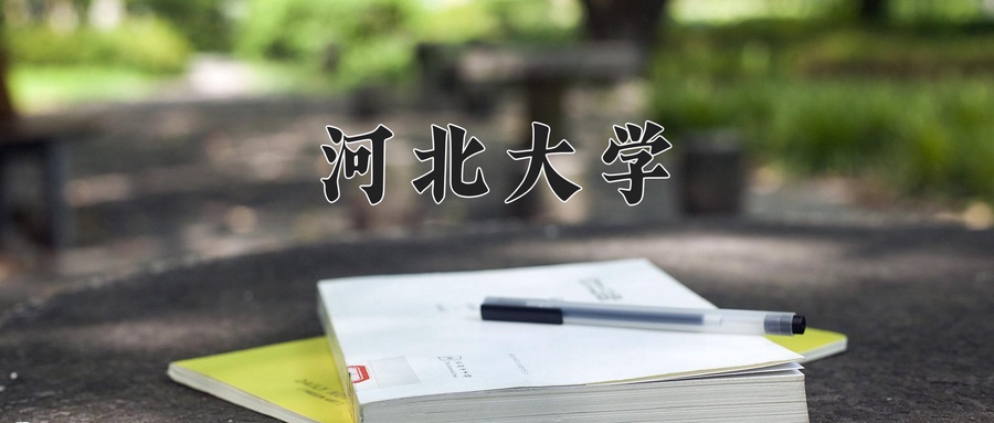 河北大学