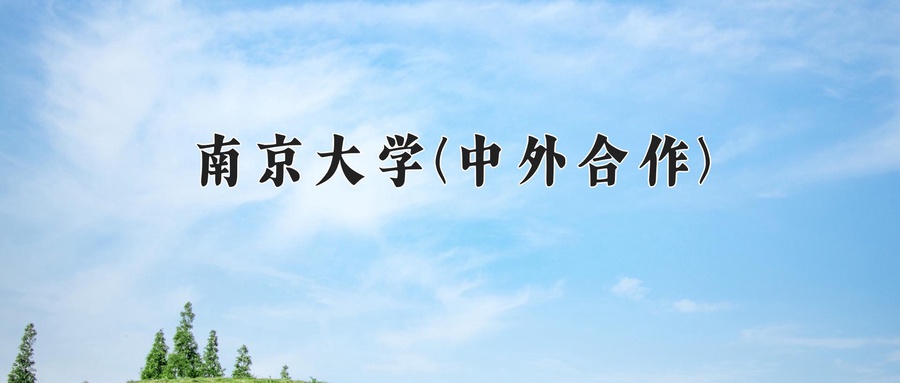 南京大学(中外合作)