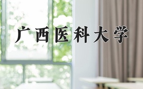 2025年河南高考500分可以上什么大学？附可以上的院校名单