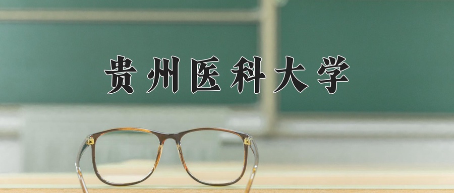 2025年河南高考467分可以上什么大学？附可以上的院校名单-第1张图片-索考网