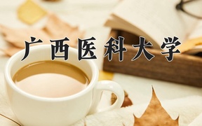 2025年河南高考510分可以上什么大学？附可以上的院校名单