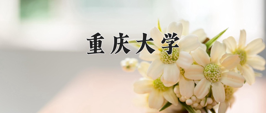 2025年河南高考629分可以上什么大学？附可以上的院校名单-第1张图片-索考网