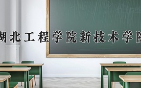 湖北工程学院新技术学院王牌专业排名-含2024年全国各省录取最低分数线