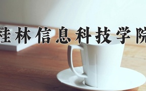 桂林信息科技学院王牌专业排名-含2024年全国各省录取最低分数线