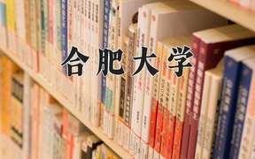 合肥大学王牌专业排名-含2024年全国各省录取最低分数线