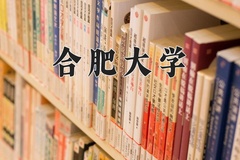合肥大学王牌专业排名-含2024年全国各省录取最低分数线